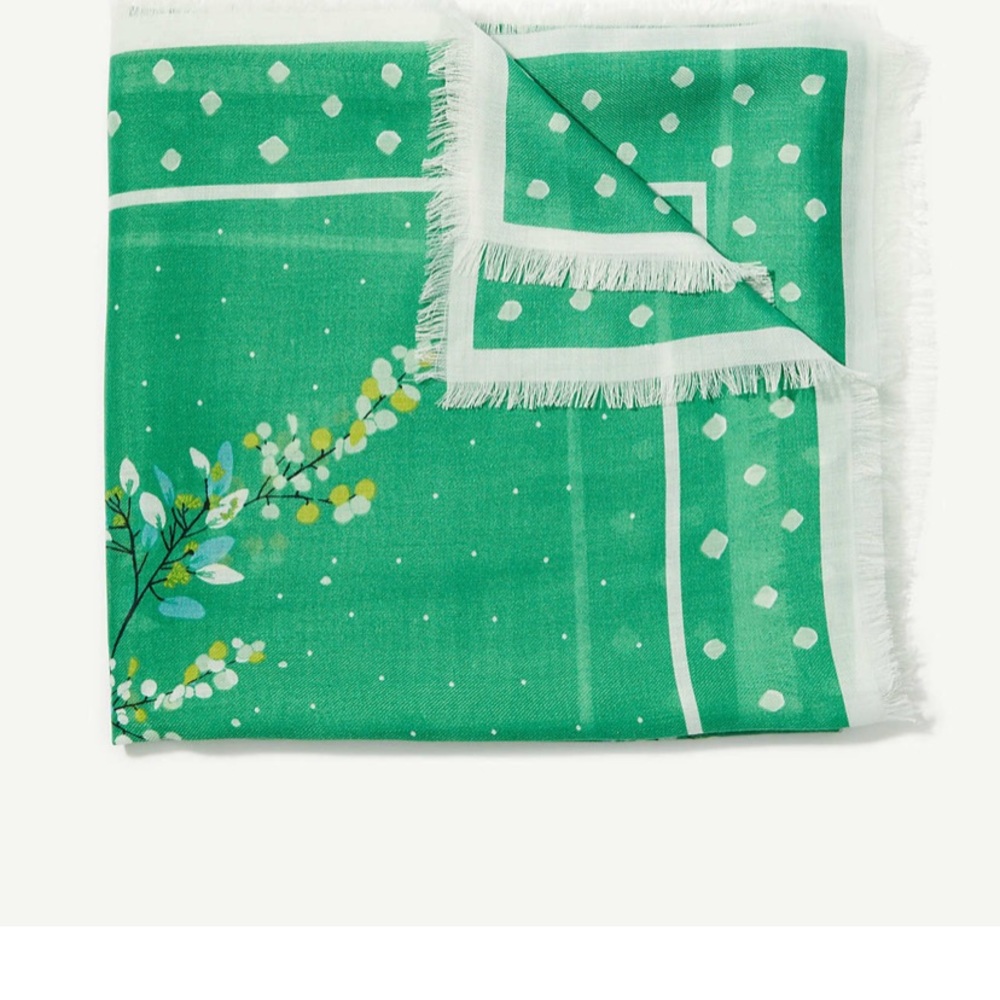 ISO Ann Taylor Loft Dot Bordered Flower Scarf